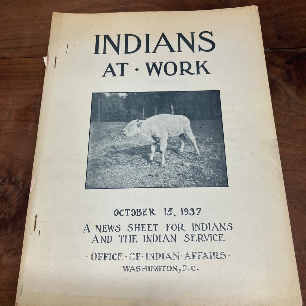 Indians at Work Vol V No 2 Office of Indian Affairs 1937 Native American History